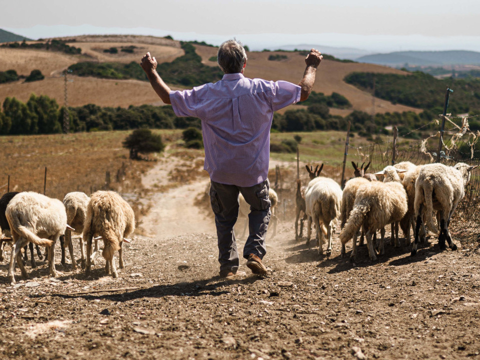 Portfolio: fattoria e parco Lu Cantaru